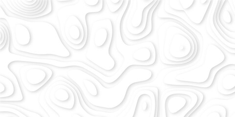 Fototapeta premium Abstract paper carve template. abstract white and gray 3d papercut topography relief vector background illustration. topographic canyon geometric map relief texture with curved layers and shadow.