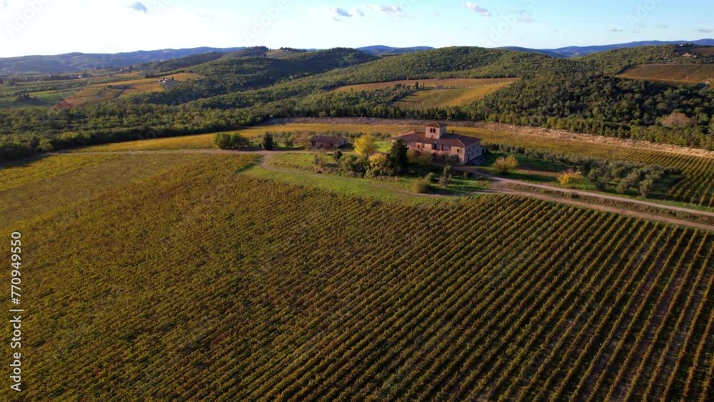 Wall mural Italy, romantic Tuscany scenery with vast vineyards fields .famous region Chianti. aerial drone video over sunset 