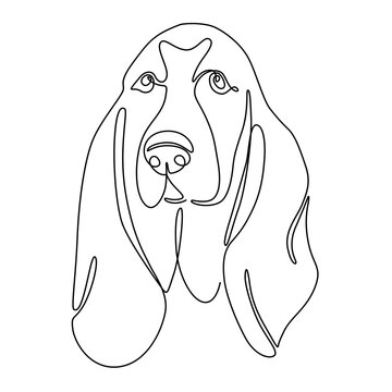 recommend clip art: One continuous line drawing Basset Hound vector Image. Single line minimal style dog portrait. Cute beagle puppy black linear sketch isolated on white background. Graphic drawing.