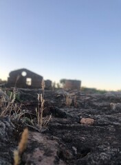 Ruinas: Saladero Sao Carlos 