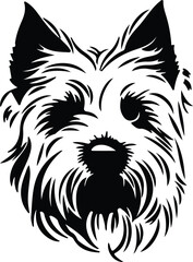 West Highland White Terrier portrait