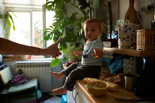 Portrait of a little boy sitting on the counter