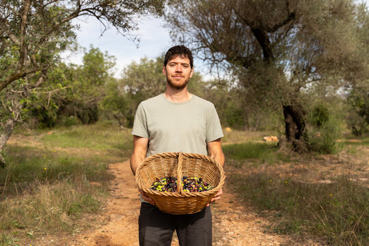 Proud man portrait during olive harvest