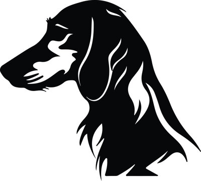 recommend clip art: Saluki portrait