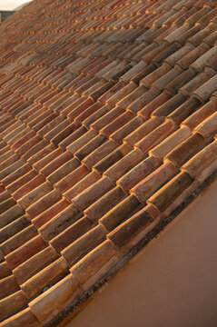 Terracotta tiled roof with golden hour light.