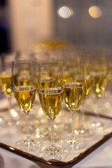 tray with poured glasses of yellow champagne with bubble for a toast for a celebration or Christmas...