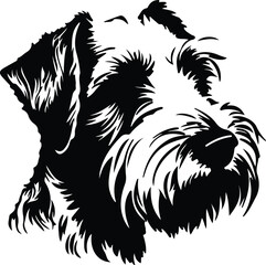 Sealyham Terrier portrait