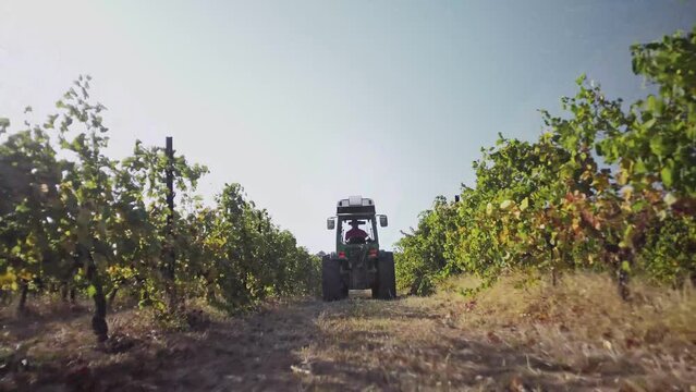 Operation of agricultural machinery in vineyard