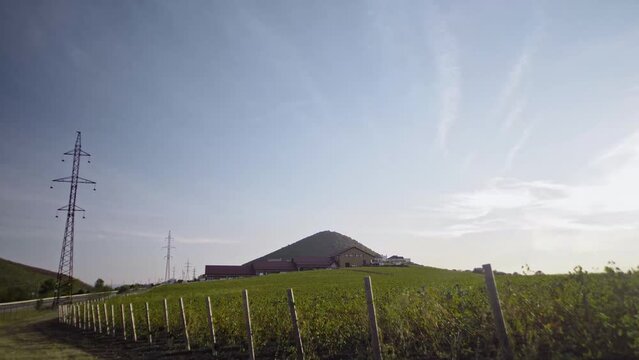 Spacious green vineyards and modern eco factory