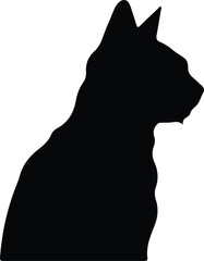 Seychellois Cat portrait