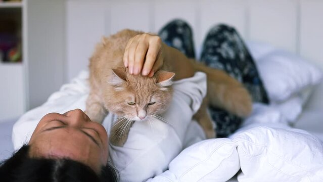 Asian woman giving cuddles to her adorable sleepy cat while both are lying on the bed. Close up video shot