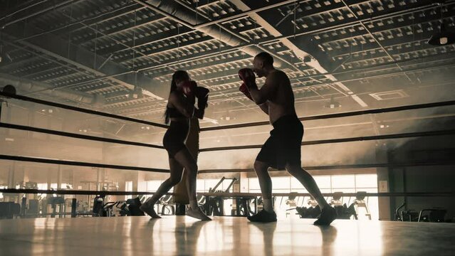 Captured in a serene gym atmosphere, a female and male boxer train together, perfecting their punches with a display of focus, coordination, and mutual dedication to the sport of boxing. Camera 8K RAW