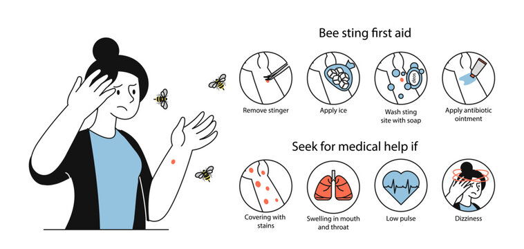 Help bee sting first aid vector linear