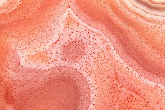 Detail Of A Laguna Agate Shaped Like A Dog In Profile 