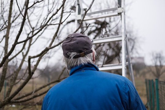 Man in blue overalls carrying an aluminium ladder