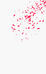 Pink_Petal_Flying_Vector_Transparent_1128.eps