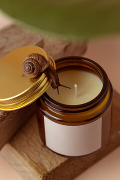 a mock-up of a jar with candles and a snail