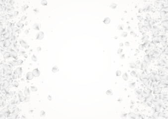 White_petals_gray_background_247.eps