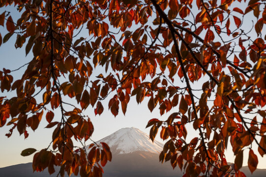 Mount Fuji Japan view