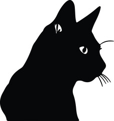 Russian Blue Cat portrait