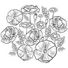 Set of poppies and daisies, simple floral outline, flat, vector illustration