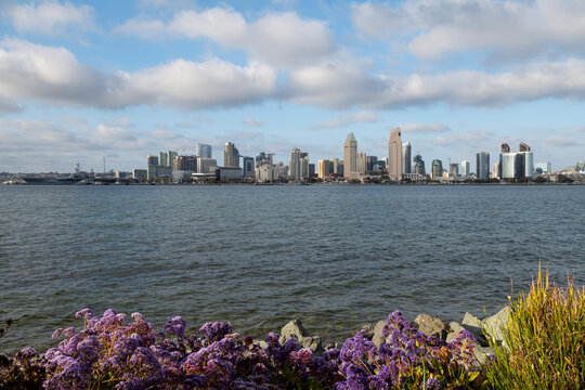 San Diego Skyline during daytime