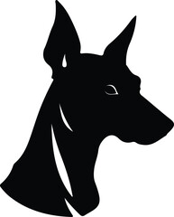 Manchester Terrier portrait