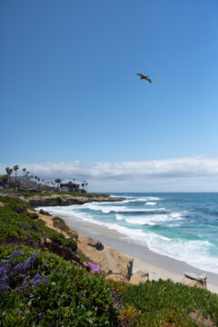 Morning Light Over San Diego&acirc;s beach