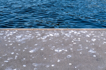 Bird poop on marina dock