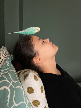 Portrait of a girl with her tame budgie/parrot