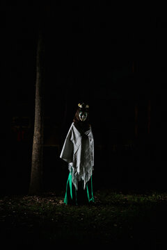 Catrina in the forest.