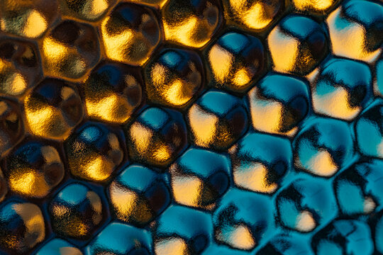 abstract smooth cells with metallic texture in neon light