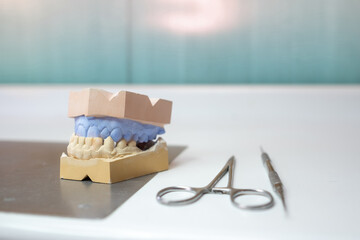 a plaster model for dental prosthesis on a laboratory table with some working tools. It is the upper jaw and the lower jaw in different color paste. © LaMorenita