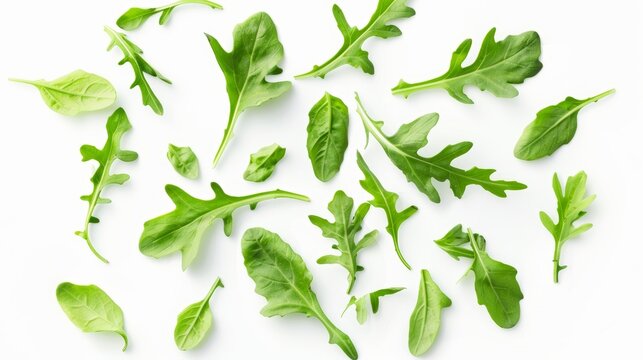 Isolated on white background, fresh arugula leaves