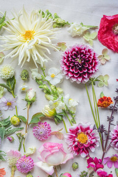 vibrant flat lay of flowers 