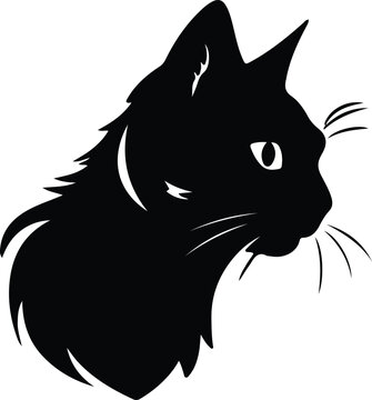 Dwelf Cat portrait