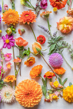 vibrant orange flat lay of flowers 