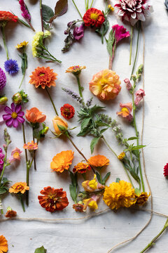 vibrant flat lay of flowers 
