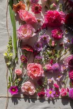 vibrant pink flat lay of flowers 