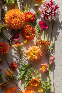 vibrant flat lay of flowers 