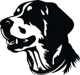 Entlebucher Mountain Dog portrait