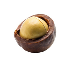 macadamia nut food