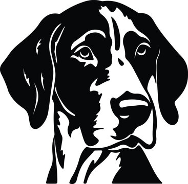 German Shorthaired Pointer portrait