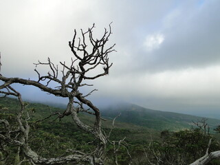 Obraz premium Landscapes in the Ibitipoca state park, Minas Gerais, Brazil