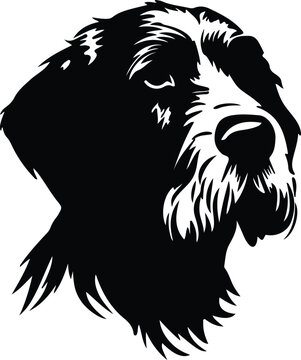 German Wirehaired Pointer portrait