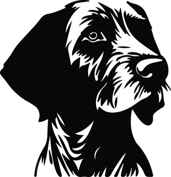 "German Wirehaired Pointer" Images – Browse 1,098 Stock Photos, Vectors