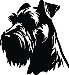 Giant Schnauzer portrait