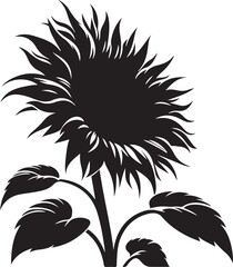 Sunflower black and white isolated icon (3).eps
