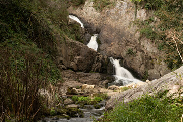 Versteckter Wasserfall im grünen Wald