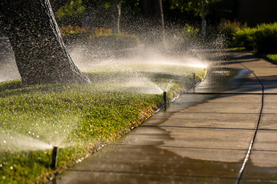 Yard Sprinklers in Action